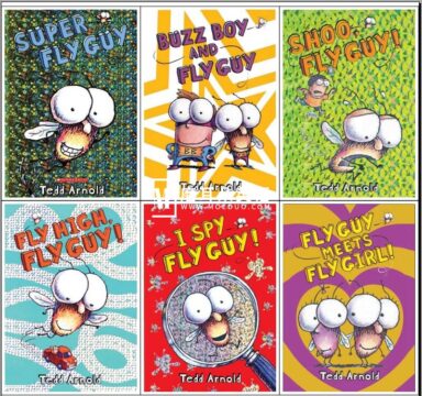 英語絵本Fly Guy and Buzz 15冊+CD2枚