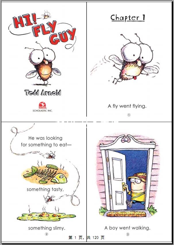 The Fly Guy 图片4 The Fly Guy 图片3