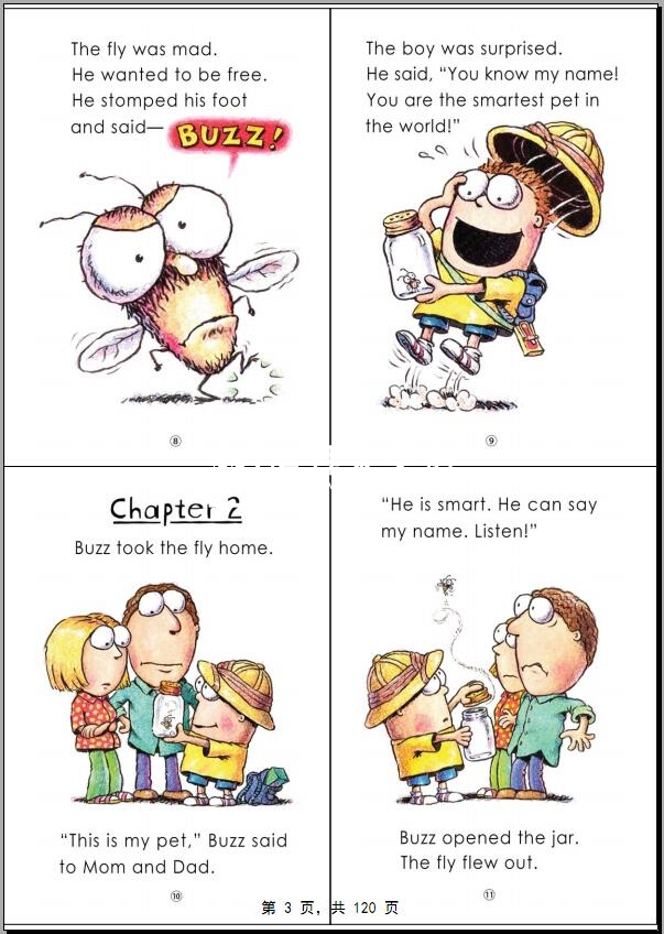 The Fly Guy 图片6 The Fly Guy 图片5