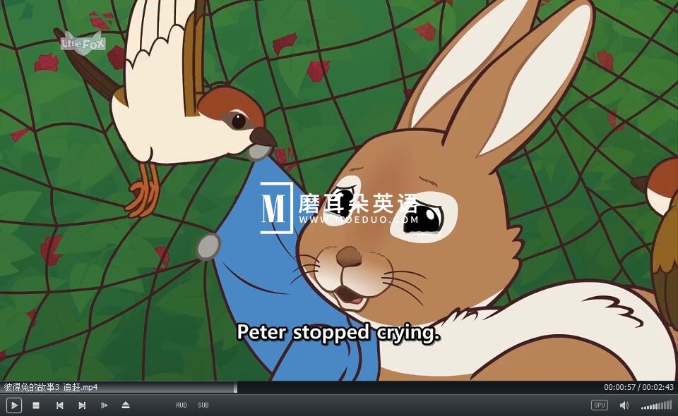 LittleFox 彼得兔的故事 图片7