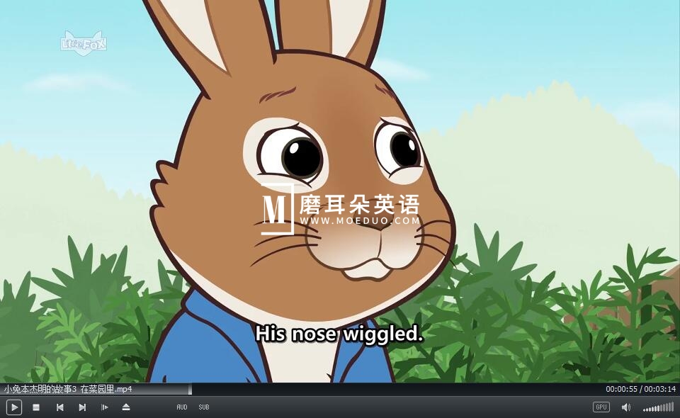 LittleFox 小兔本杰明的故事 图片7