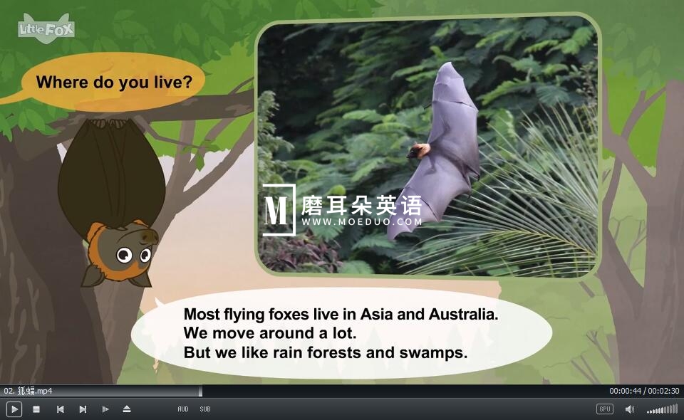 LittleFox 认识动物 图片2 LittleFox 认识动物 图片1