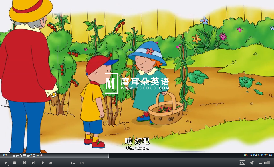 ⑭VCD 中国語英語 看卡通学英文⑭