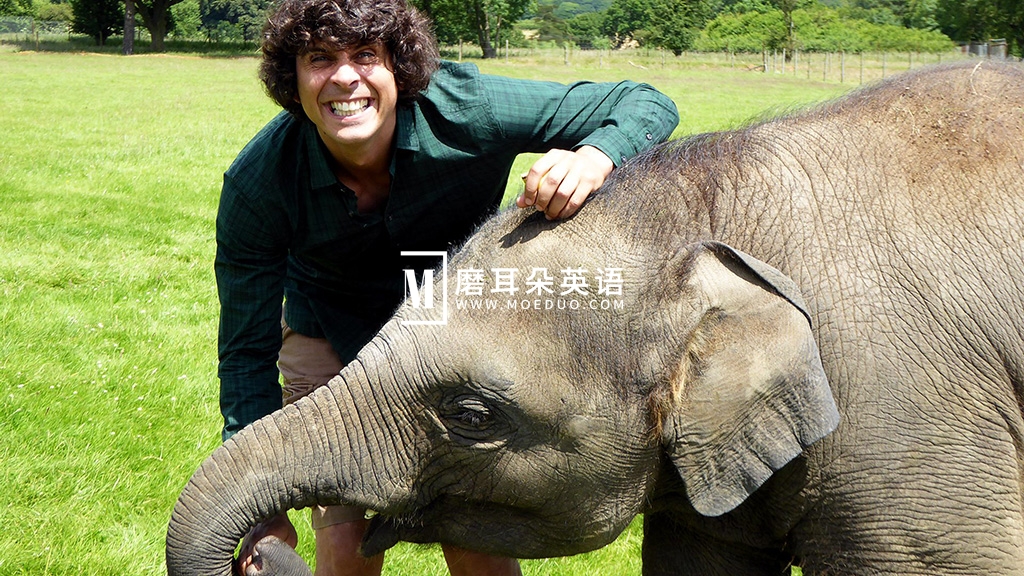 Andy's Baby Animals 安迪和小动物 图片2 Andy's Baby Animals 安迪和小动物 图片1