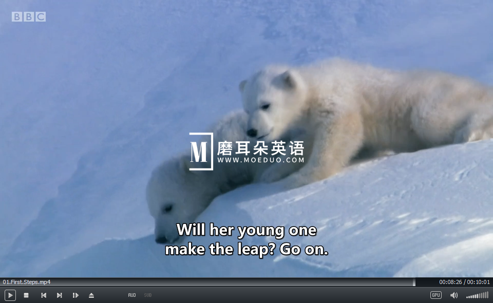 Andy's Baby Animals 安迪和小动物 图片16 Andy's Baby Animals 安迪和小动物 图片15