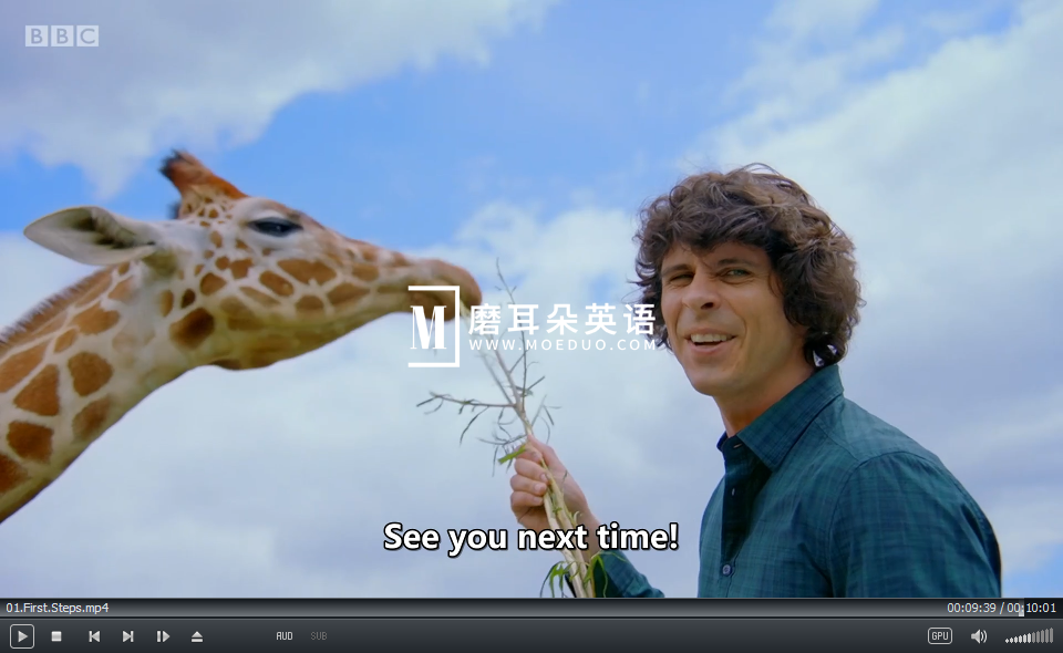 Andy's Baby Animals 安迪和小动物 图片24 Andy's Baby Animals 安迪和小动物 图片23