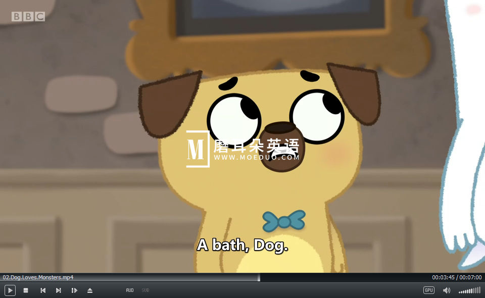 BBC Dog Loves Books 狗狗爱看书 图片11