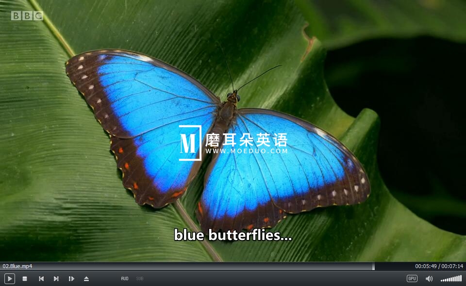 BBC Colours 图片11