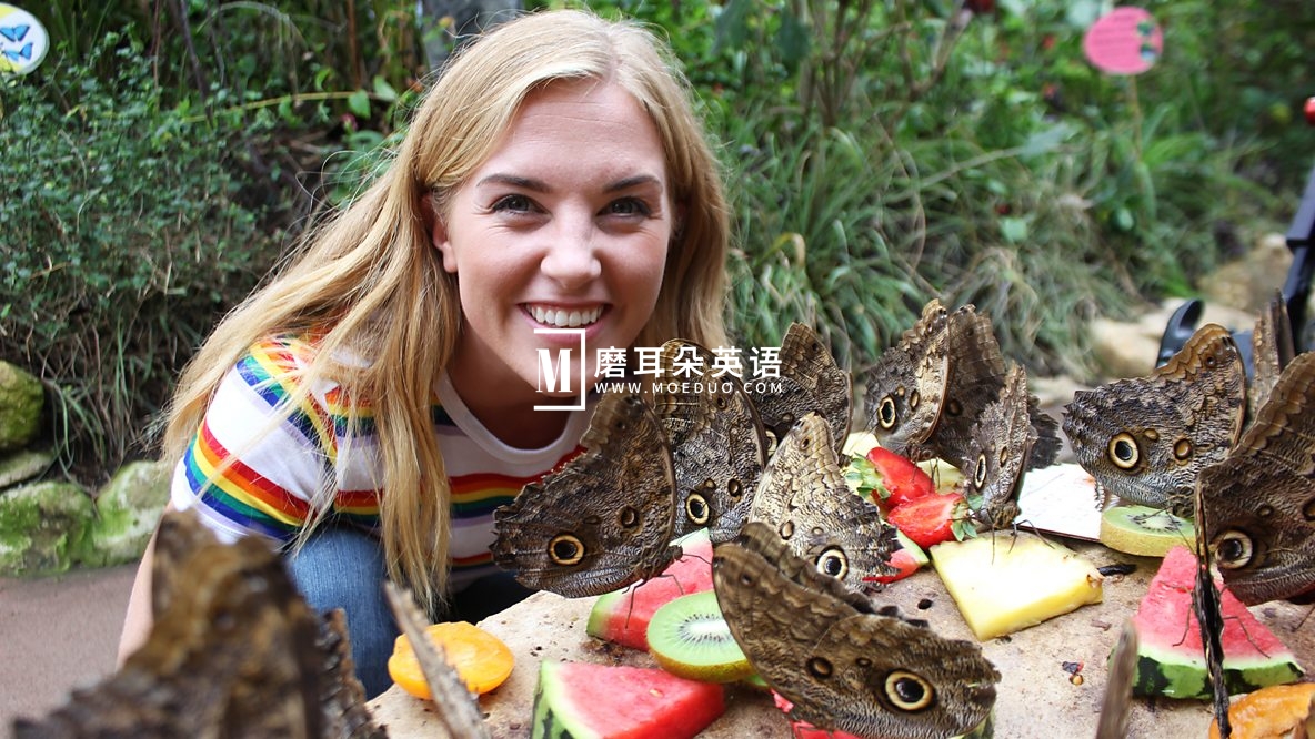 BBC Do You Know 你知道吗 图片1