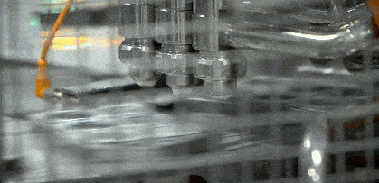 BBC Do You Know 你知道吗 图片27