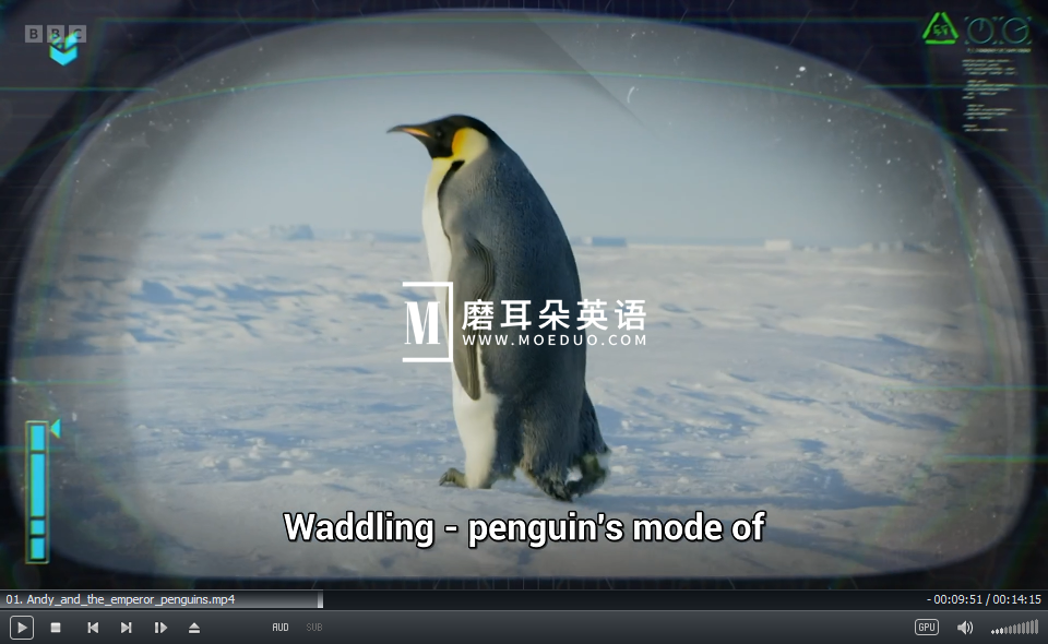 Andy's Global Adventures 安迪 安迪的全球冒险 图片16 Andy's Global Adventures 安迪 安迪的全球冒险 图片15