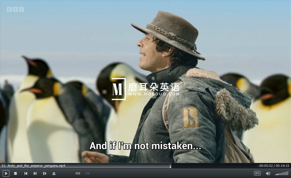 Andy's Global Adventures 安迪 安迪的全球冒险 图片18 Andy's Global Adventures 安迪 安迪的全球冒险 图片17