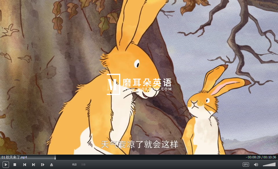 Guess How Much I Love You 猜猜我有多爱你 图片1