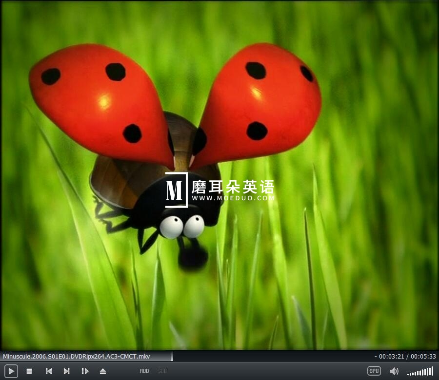 Minuscule 微观小世界 昆虫总动员 图片4 Minuscule 微观小世界 昆虫总动员 图片3