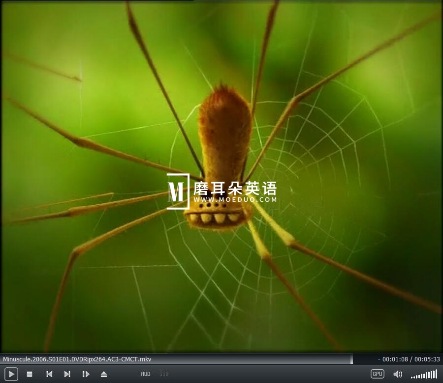 Minuscule 微观小世界 昆虫总动员 图片6 Minuscule 微观小世界 昆虫总动员 图片5