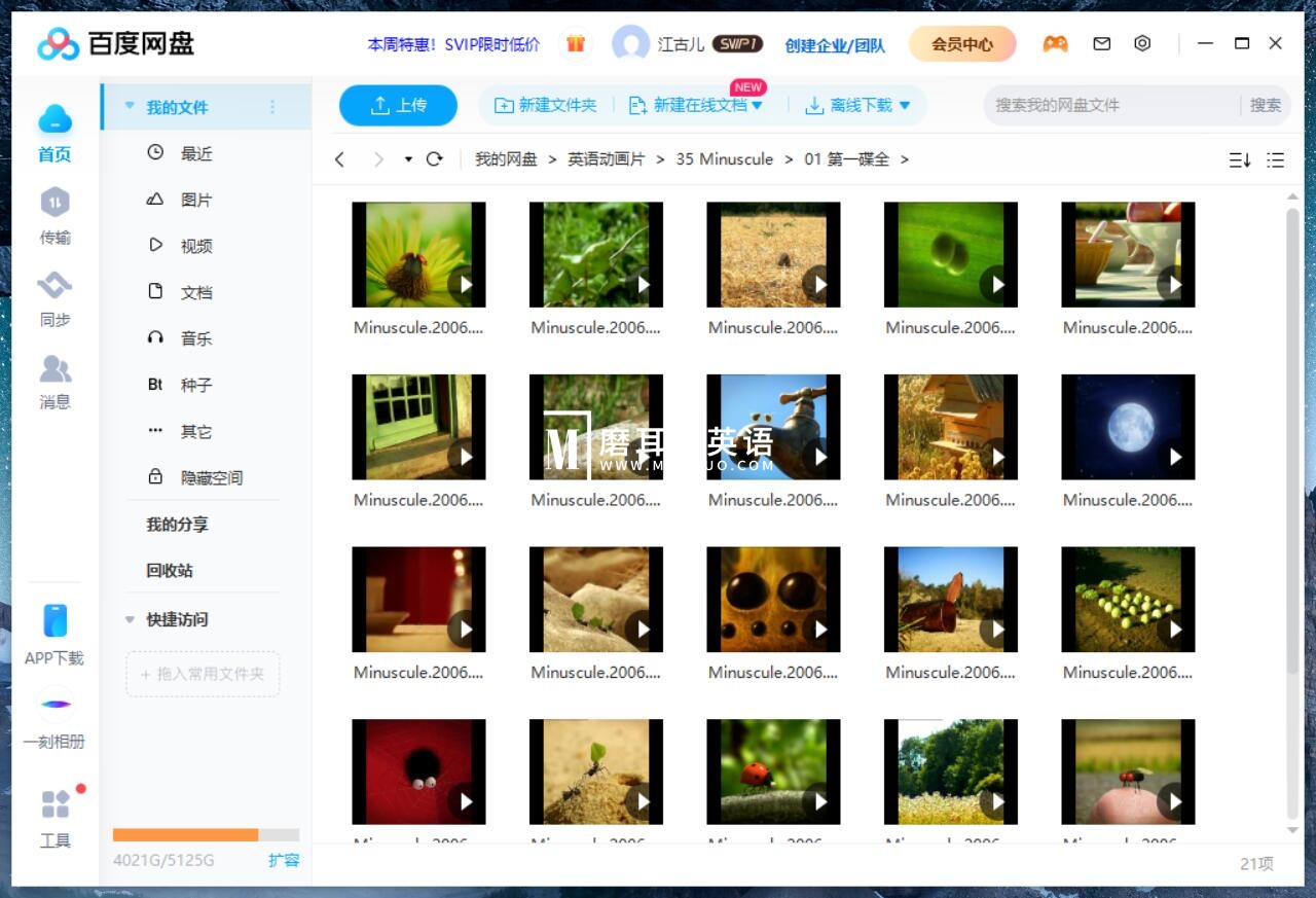 Minuscule 微观小世界 昆虫总动员 图片14 Minuscule 微观小世界 昆虫总动员 图片13