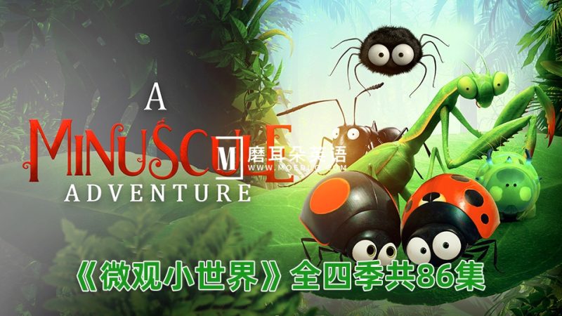法国纪录动画片昆虫总动员《Minuscule微观小世界》全四季共86集,百度网盘下载! - 磨耳朵英语