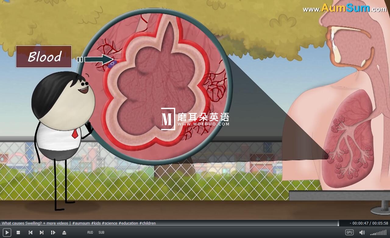 It's AumSum Time 图片4 It's AumSum Time 图片3