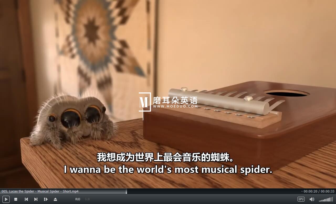 Lucas the Spider 小蜘蛛卢卡斯 蜘蛛卢卡斯 图片11