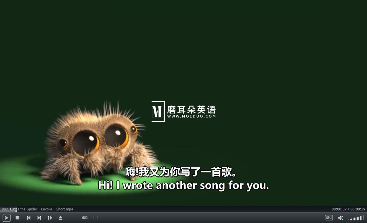 Lucas the Spider 小蜘蛛卢卡斯 蜘蛛卢卡斯 图片13