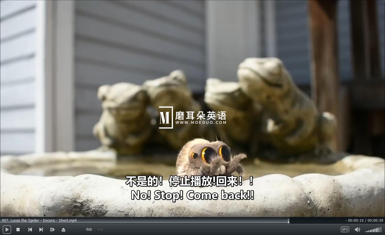 Lucas the Spider 小蜘蛛卢卡斯 蜘蛛卢卡斯 图片15