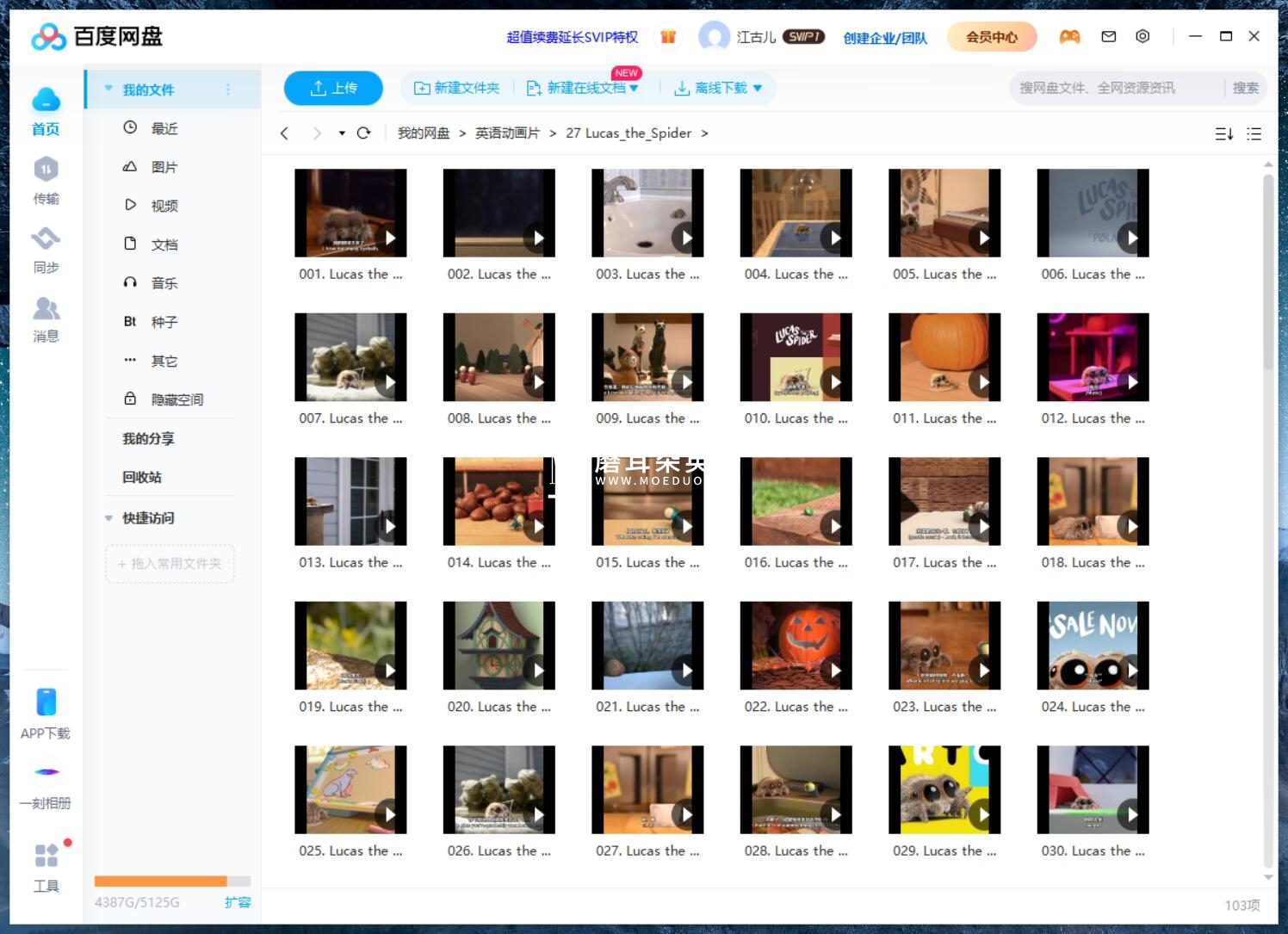 Lucas the Spider 小蜘蛛卢卡斯 蜘蛛卢卡斯 图片19