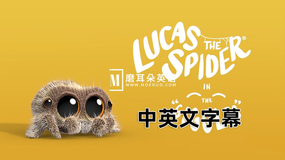 Lucas the Spider 小蜘蛛卢卡斯 蜘蛛卢卡斯 图片1