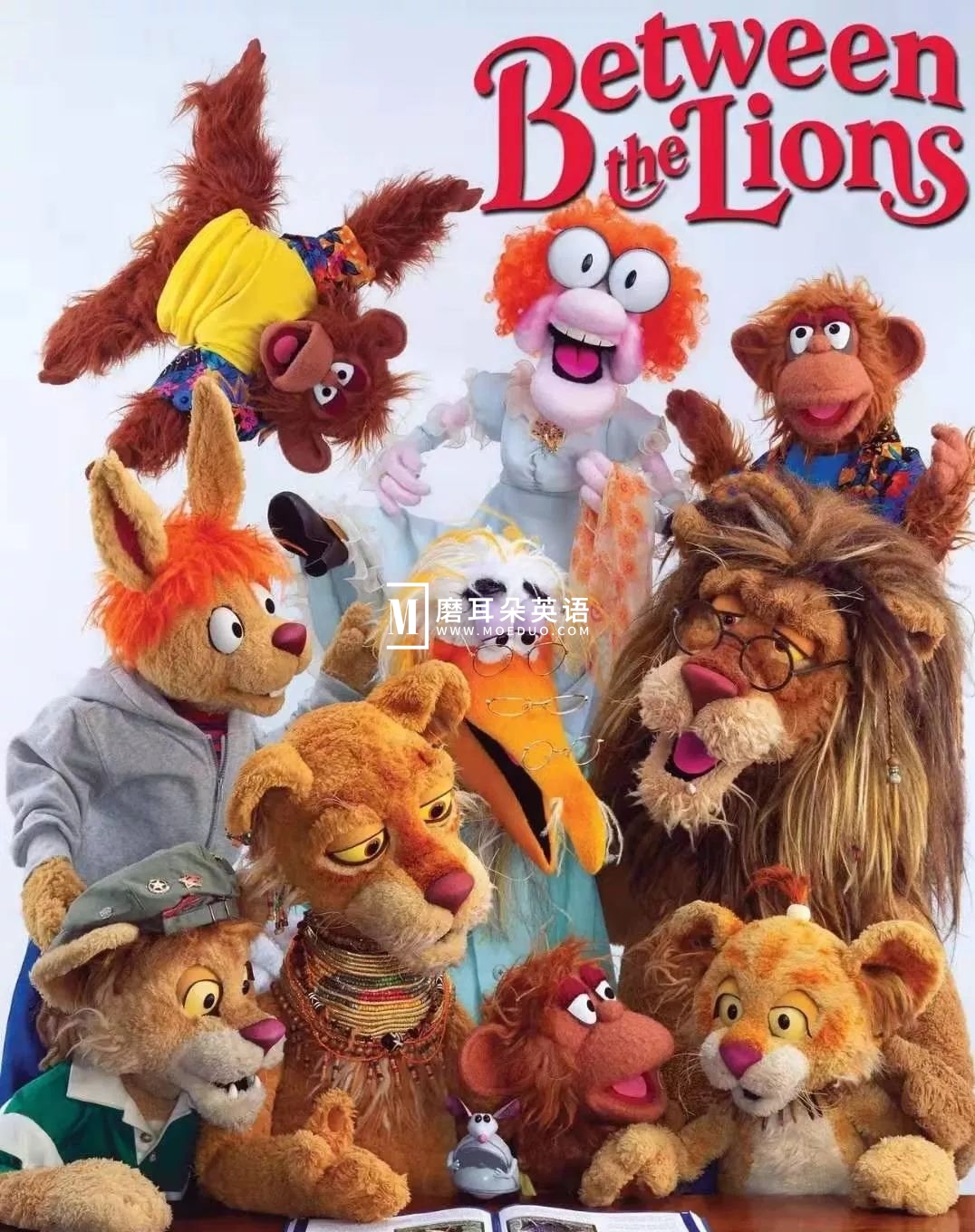 Between the Lions 我们一家都是狮 图片2 Between the Lions 我们一家都是狮 图片1