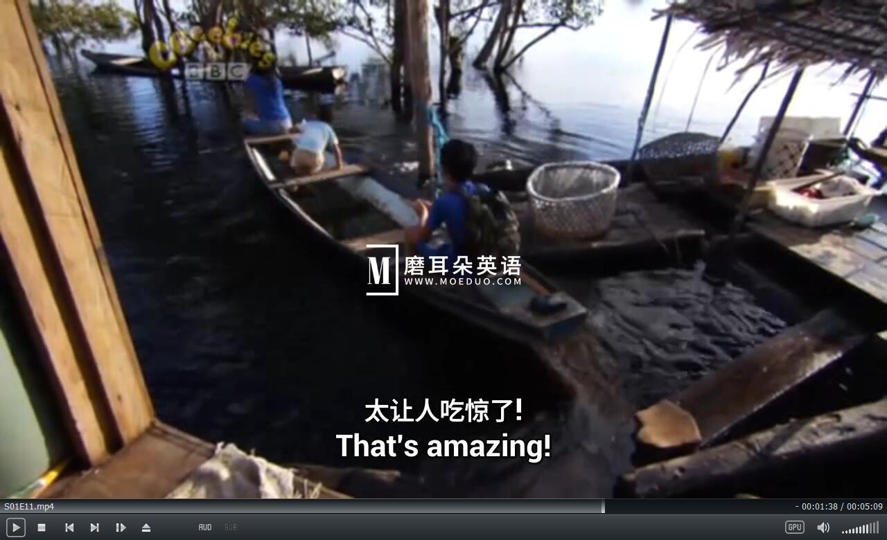 Little Human Planet 小小人类星球 瞬间认识世界 图片12 Little Human Planet 小小人类星球 瞬间认识世界 图片11