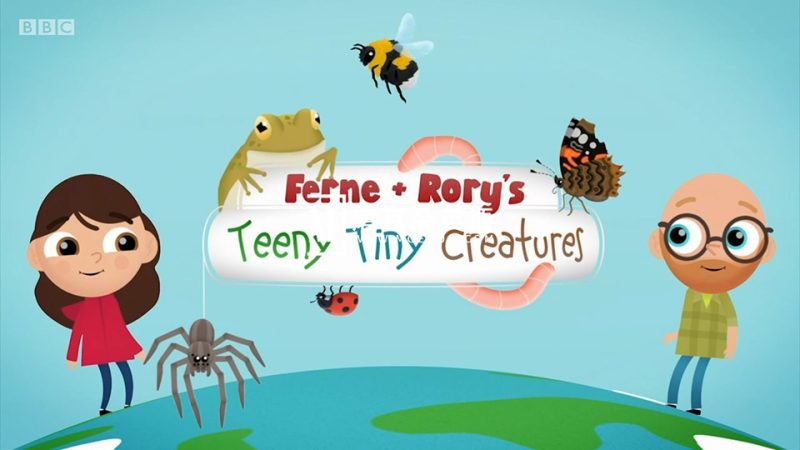 BBC优秀儿童英语科普动画《Teeny Tiny Creatures》全1-3季共40集,1080P高清视频带英文字幕,百度网盘下载! - 磨耳朵英语