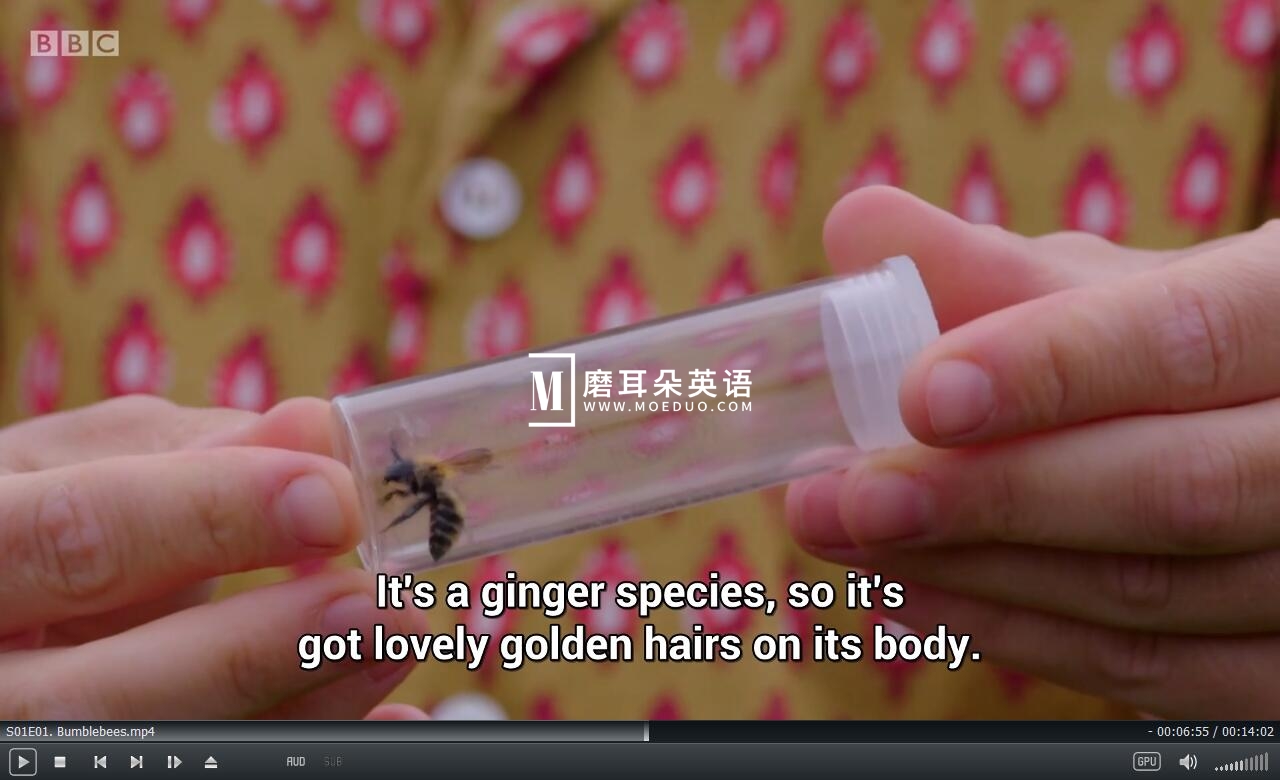Teeny Tiny Creatures 图片6 Teeny Tiny Creatures 图片5