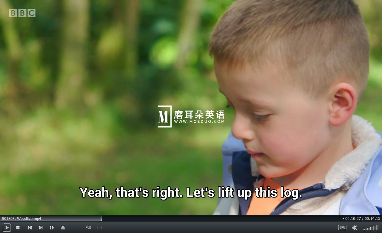 Teeny Tiny Creatures 图片10 Teeny Tiny Creatures 图片9