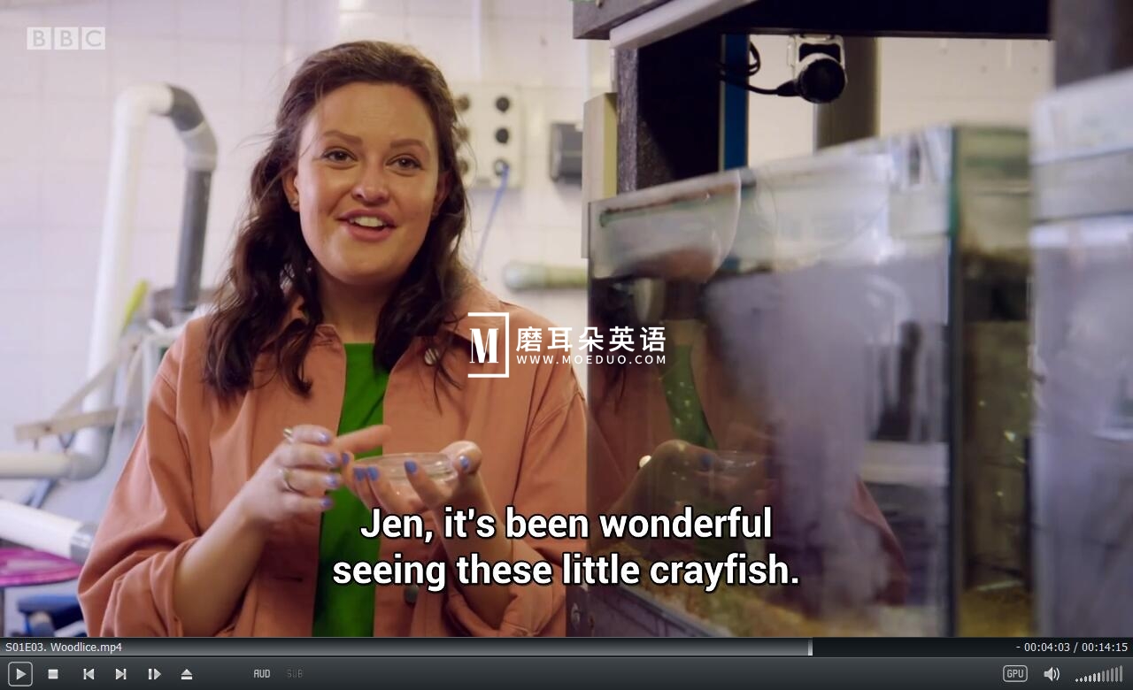 Teeny Tiny Creatures 图片12 Teeny Tiny Creatures 图片11