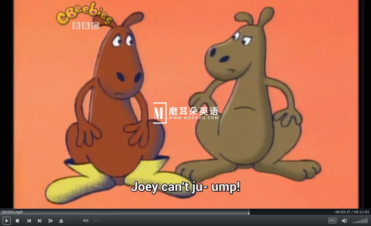 64 Zoo Lane 动物街64号 图片11