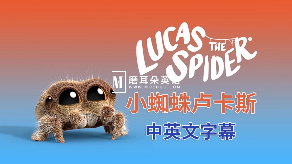 豆瓣评分9.5《Lucas the Spider小蜘蛛卢卡斯》全113集，1080P高清视频带中英文字幕，百度网盘下载！ - 磨耳朵英语