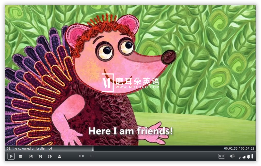 Miro The Cat 小猫米罗 图片10 Miro The Cat 小猫米罗 图片9