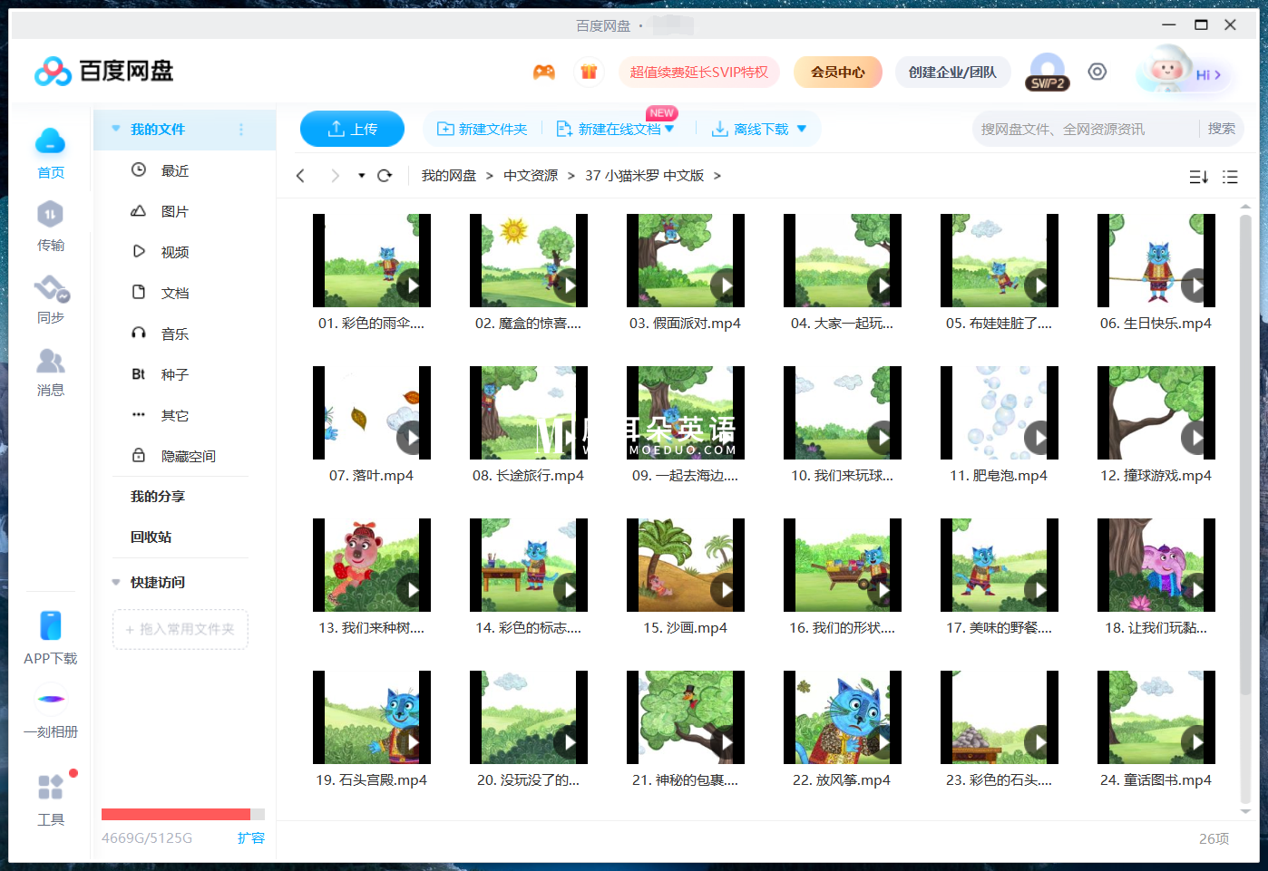 Miro The Cat 小猫米罗 图片20 Miro The Cat 小猫米罗 图片19