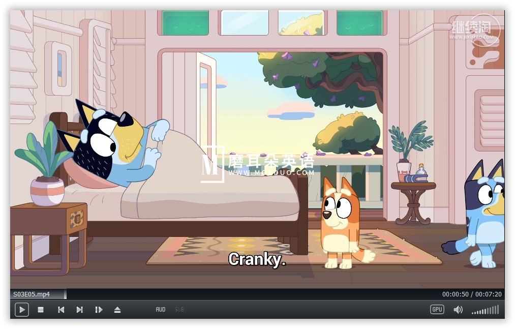 Bluey 布鲁伊一家 图片11