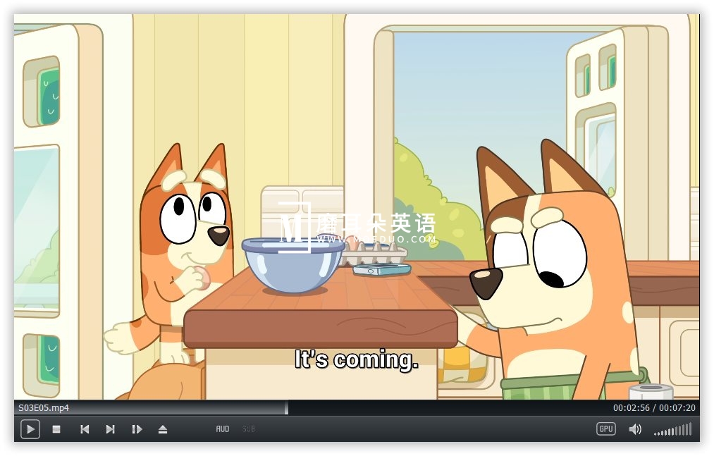 Bluey 布鲁伊一家 图片13