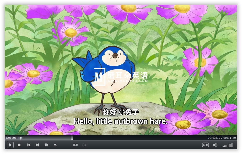 Guess How Much I Love You 猜猜我有多爱你 图片7