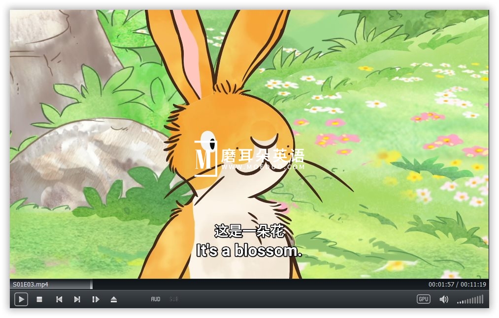 Guess How Much I Love You 猜猜我有多爱你 图片13