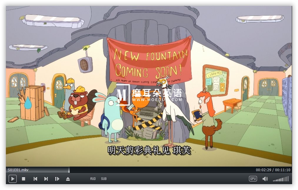 Kiff 松鼠奇芙 图片14 Kiff 松鼠奇芙 图片13