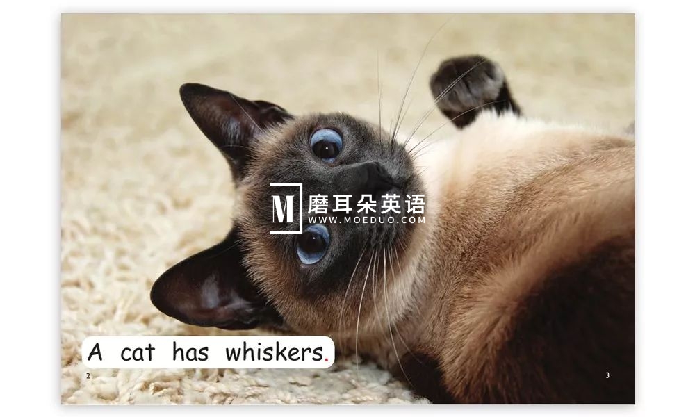 红火箭分级绘本 红火箭分级阅读绘本 图片32 红火箭分级绘本 红火箭分级阅读绘本 图片31