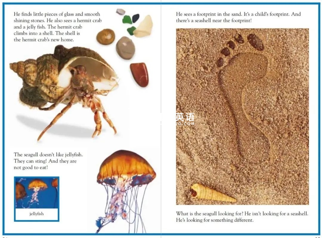 DK儿童百科全书 图片26 DK儿童百科全书 图片25