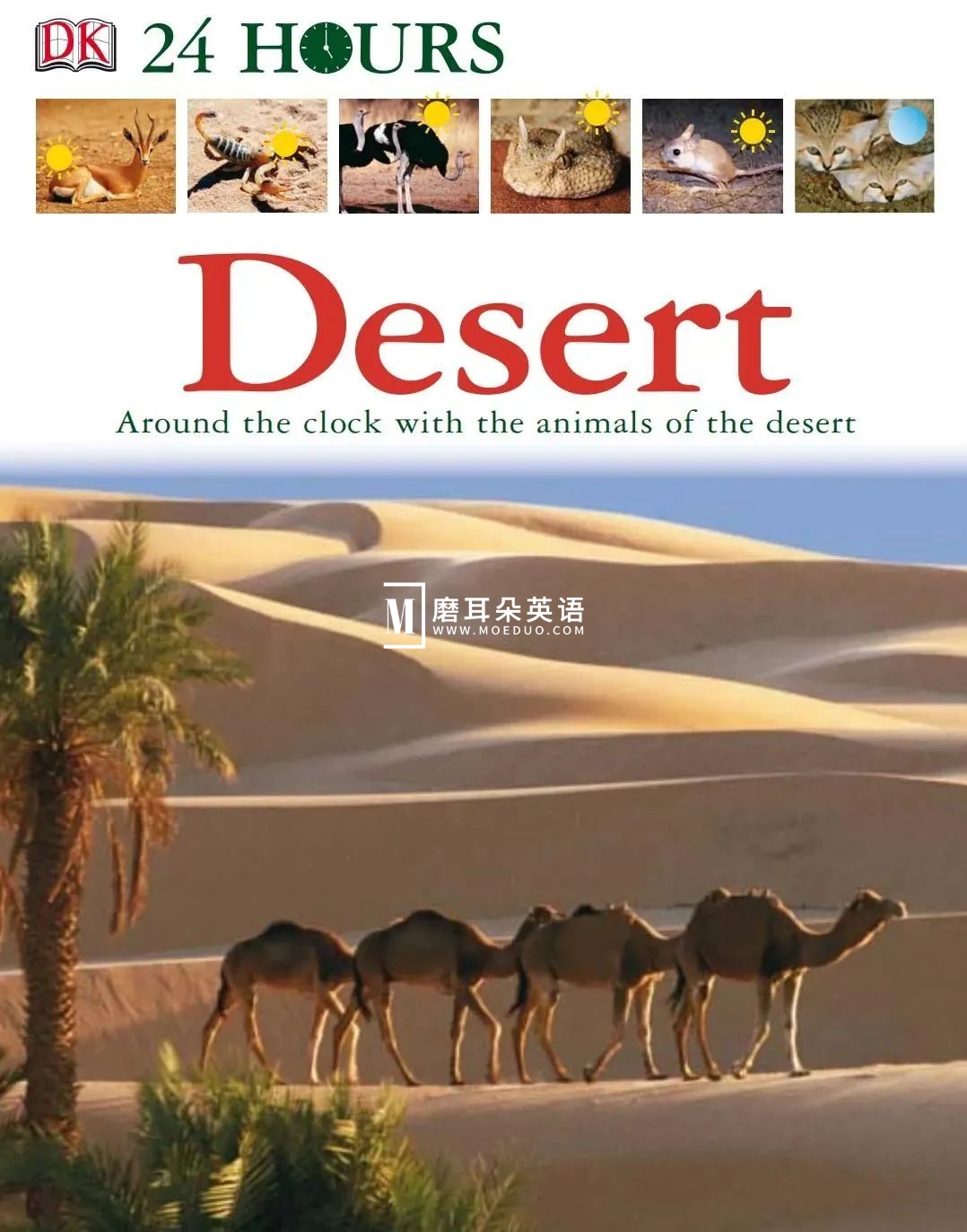 DK儿童百科全书 图片16 DK儿童百科全书 图片15