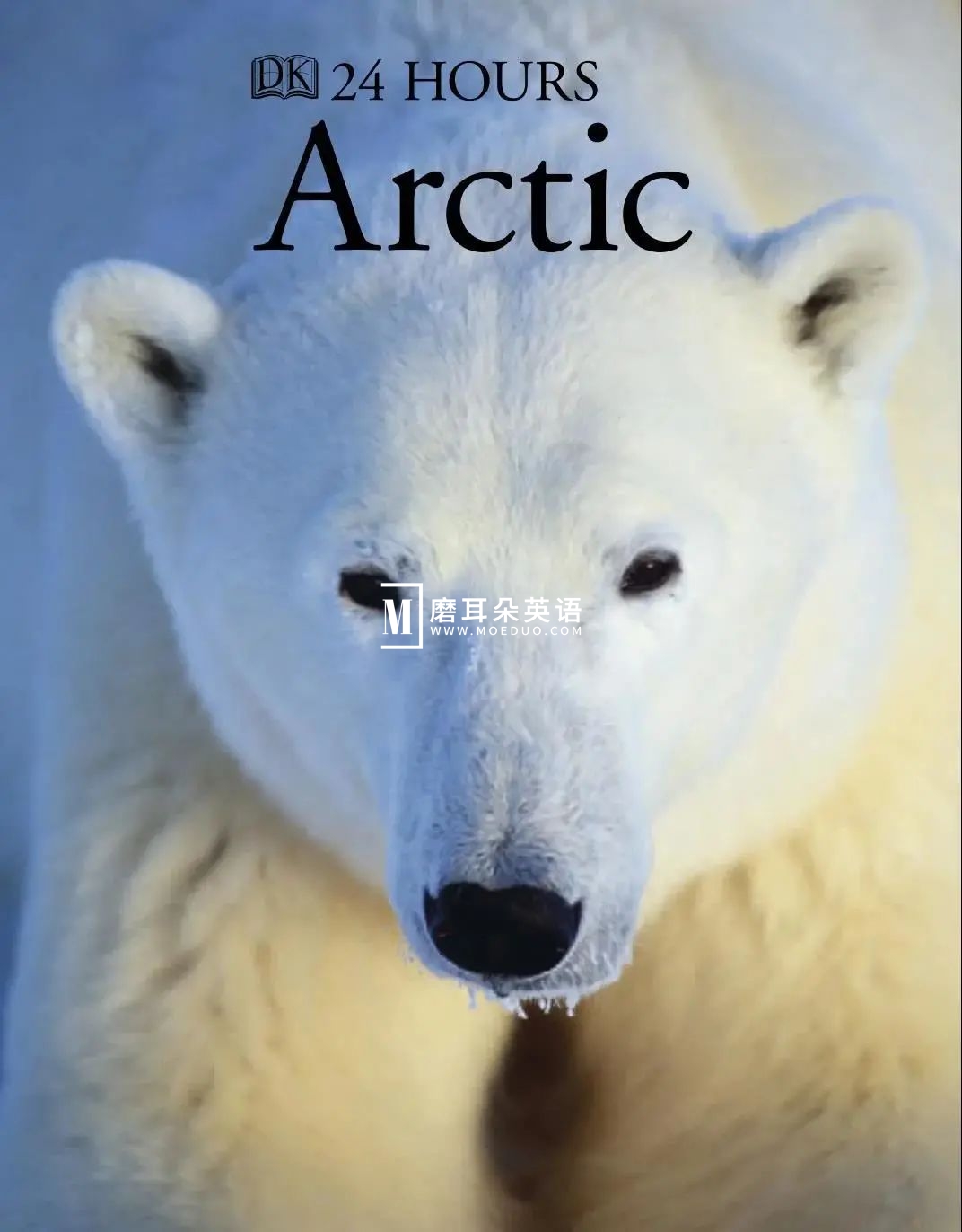 DK儿童百科全书 图片12 DK儿童百科全书 图片11