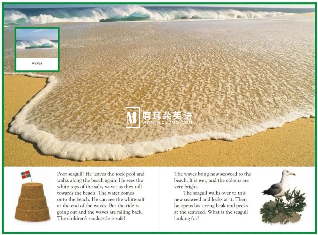 DK儿童百科全书 图片24 DK儿童百科全书 图片23