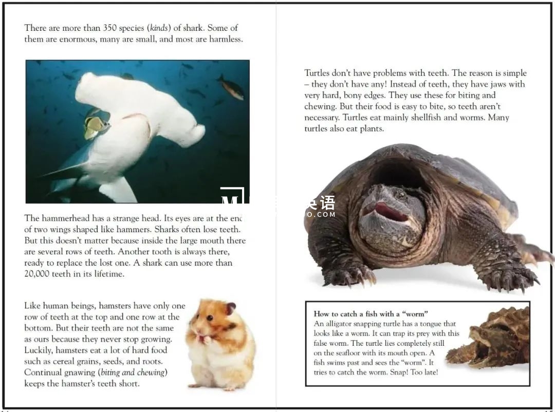 DK儿童百科全书 图片20 DK儿童百科全书 图片19