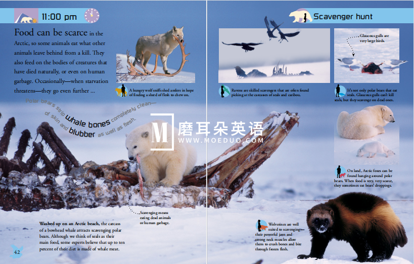 DK儿童百科全书 图片6 DK儿童百科全书 图片5