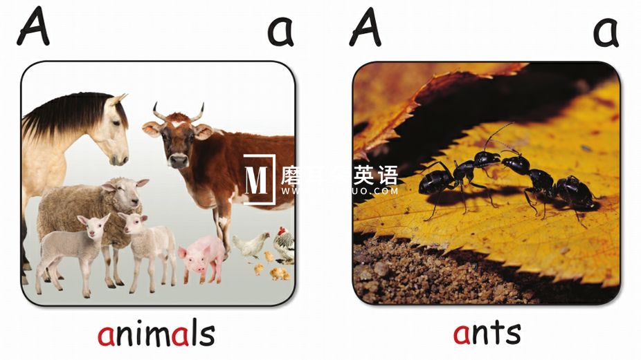 红火箭分级绘本 红火箭分级阅读绘本 图片6 红火箭分级绘本 红火箭分级阅读绘本 图片5